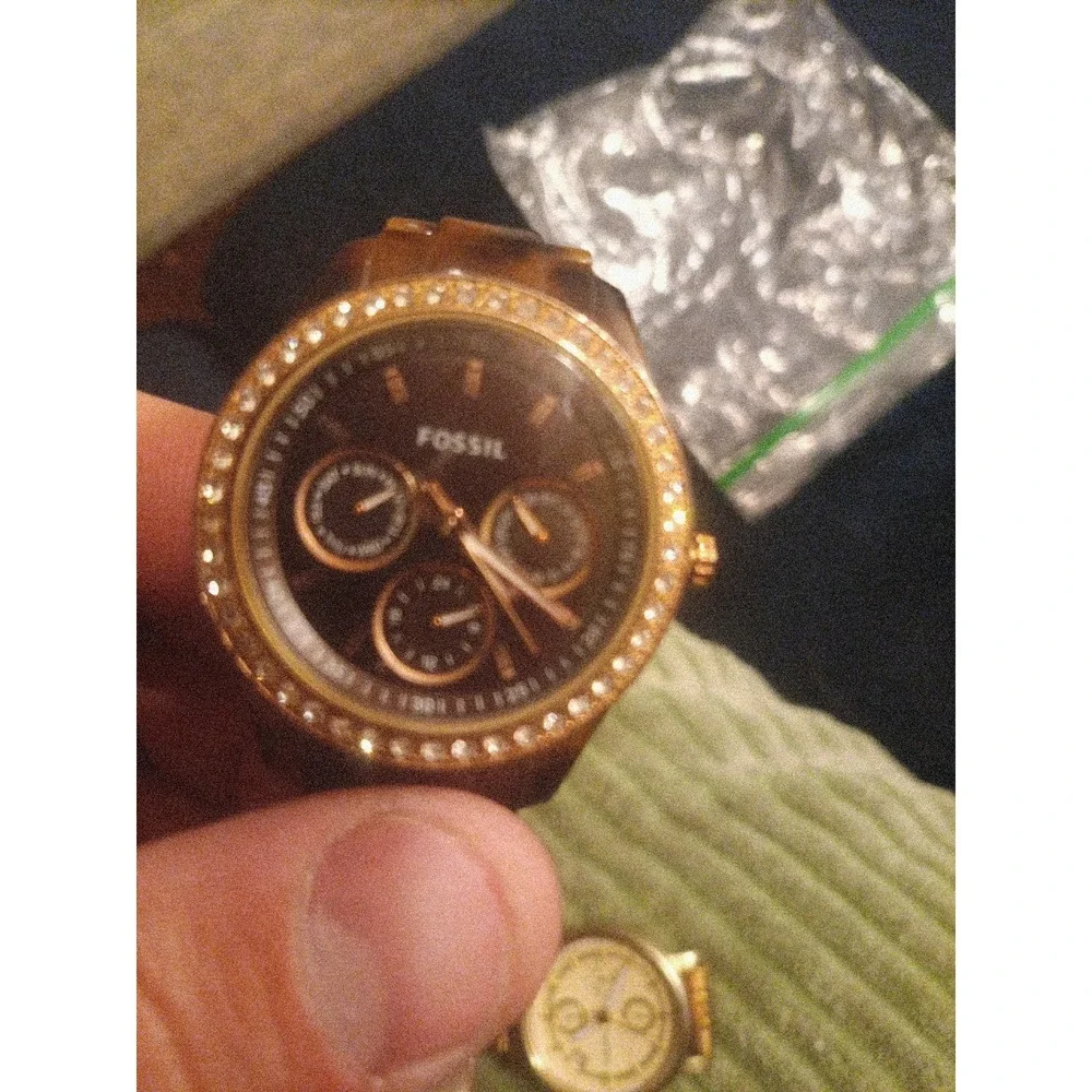 Fossil believe they