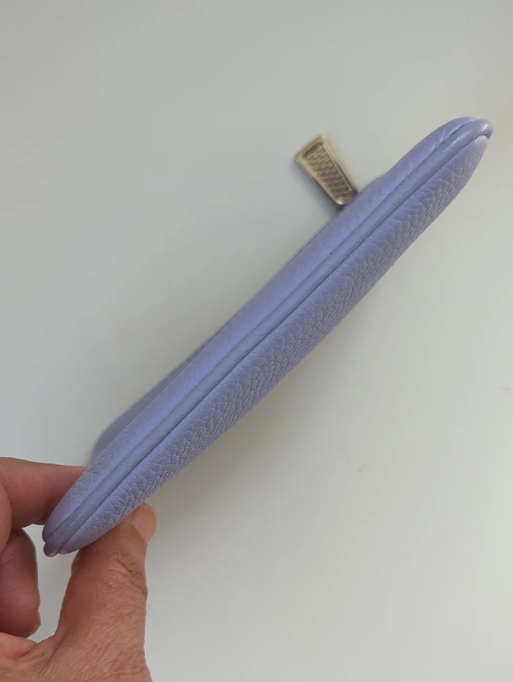 Rebecca Minkoff Lavender Leather Zip Pouch