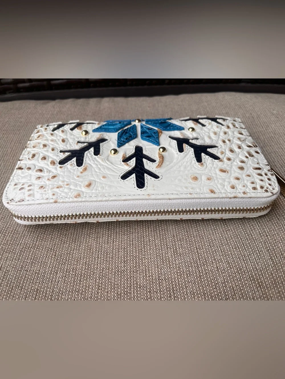 Brahmin ❄️suri everyday