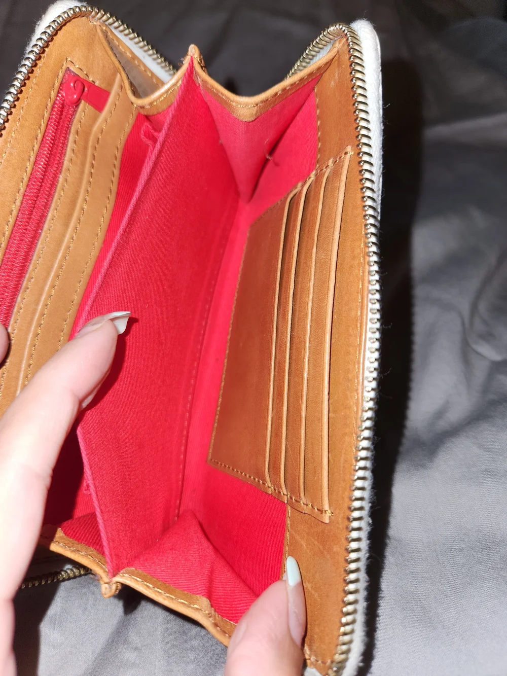 Dooney & Bourke project dooney