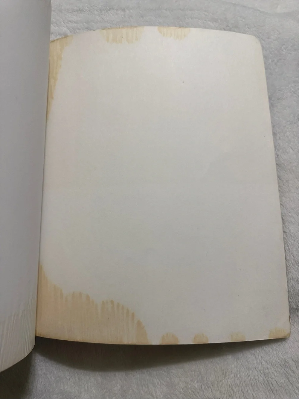 N/A thirteenth edition
