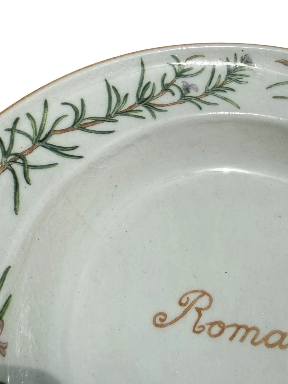 Williams Sonoma bring timeless