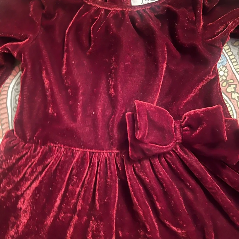 just one you Carter elegant velvet