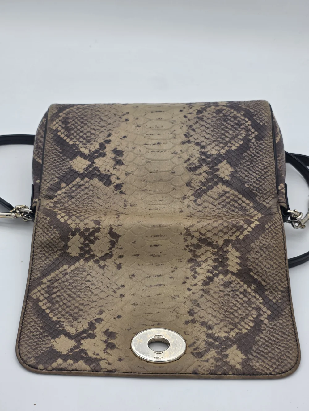 N/A stylish snake
