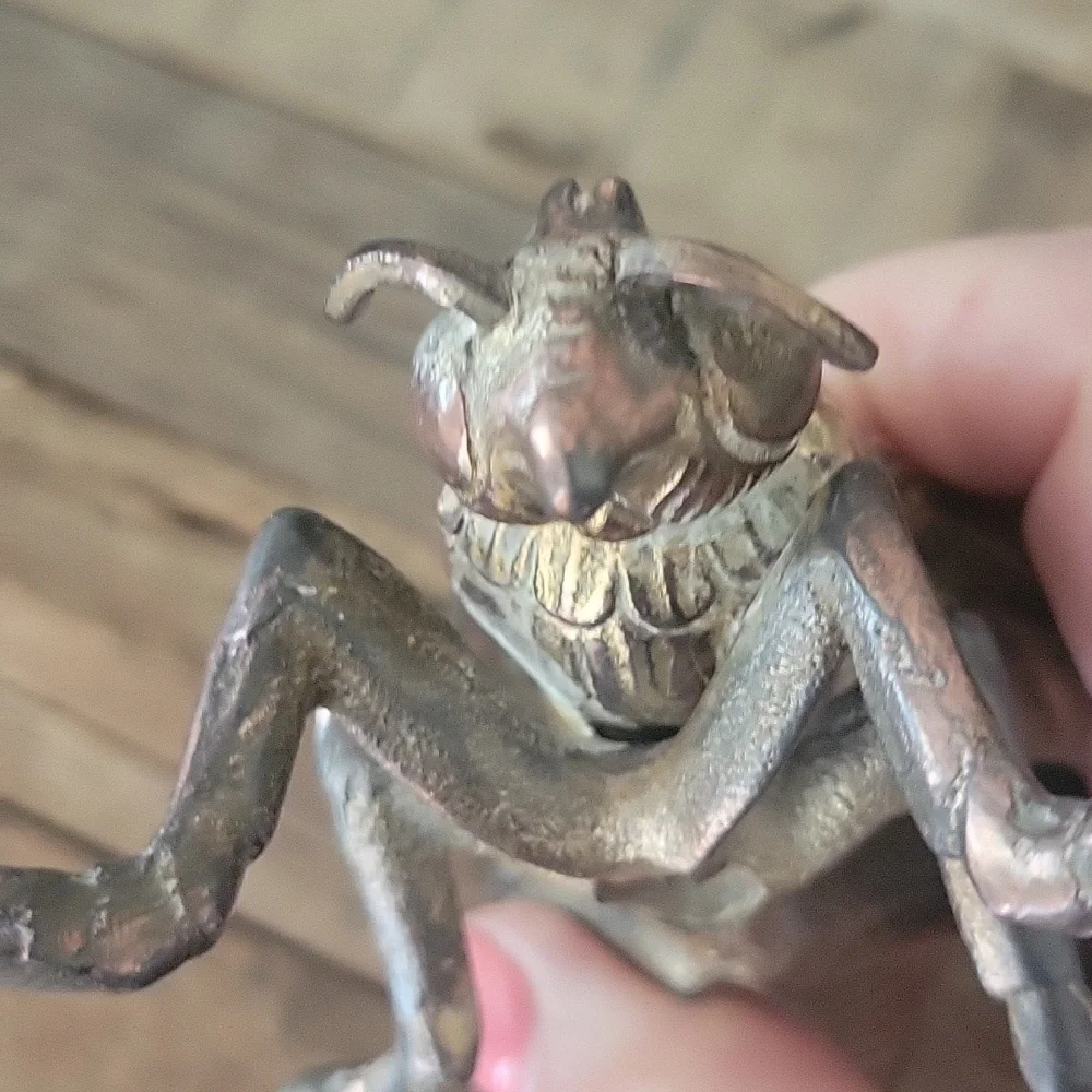Vintage brass fly