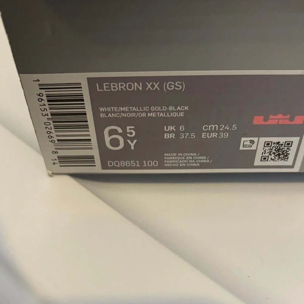 Nike lebron xx