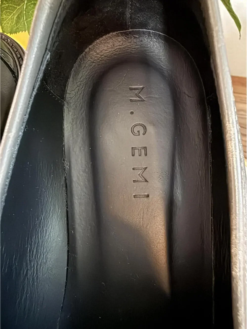 M. Gemi this pair