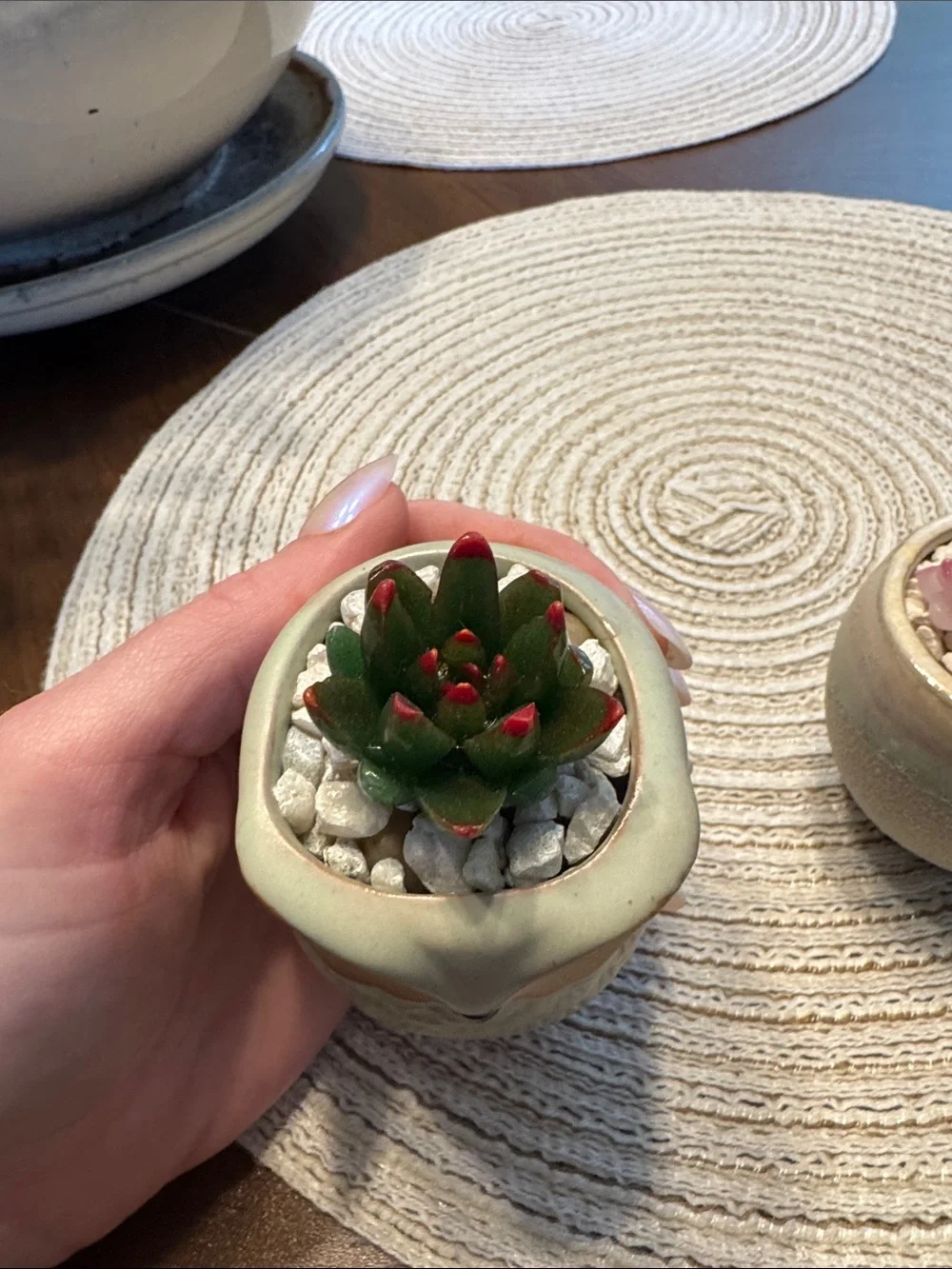 N/A adorable ceramic