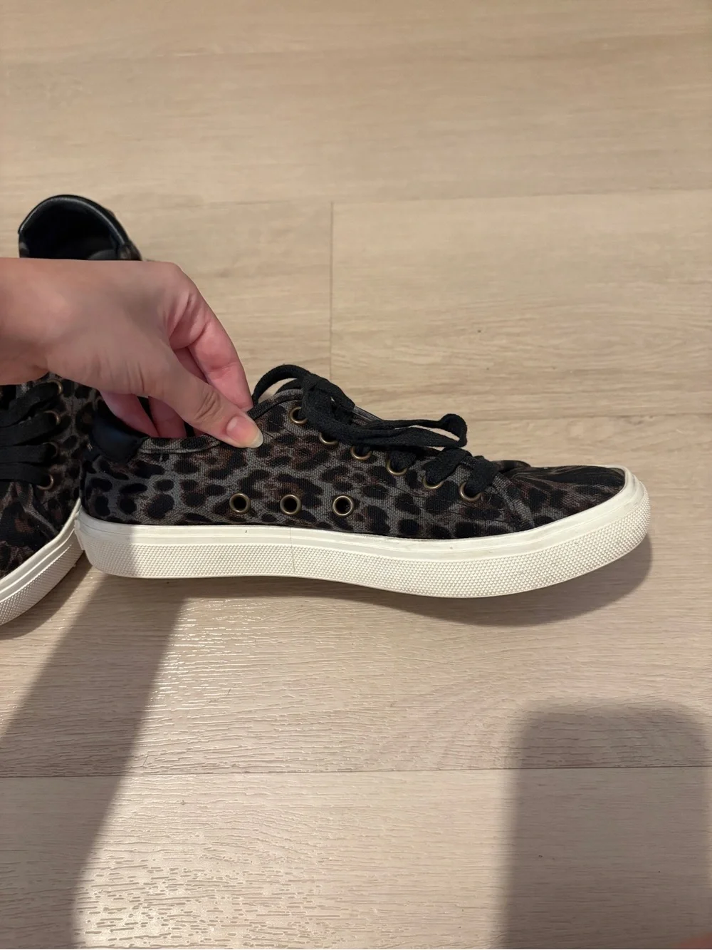 Saint Laurent low top