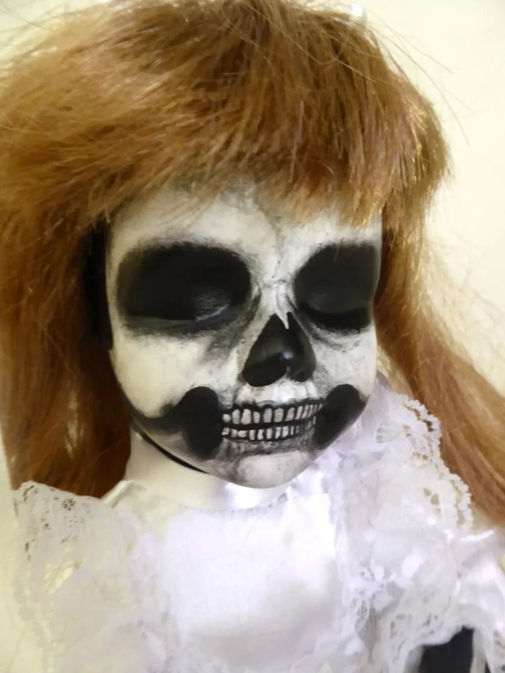 Cradle to Grave Curiosities new oddity