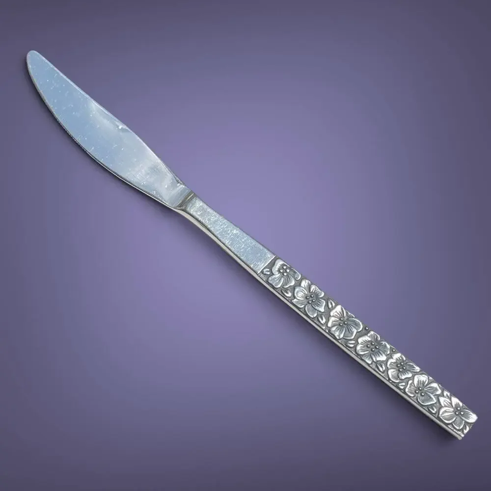 Oneida OHS46 One Butter Knife Flatware Stainless Steel  70s Replacement Crafting