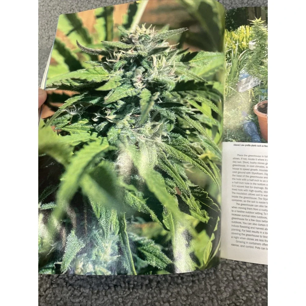 N/A high times