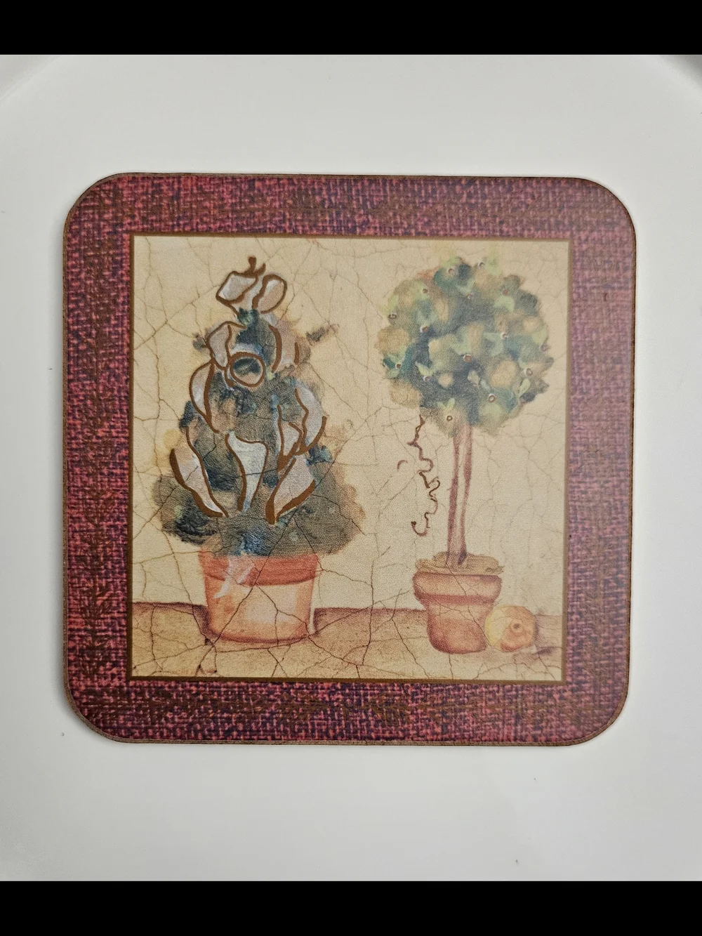 Pimpernel set five
