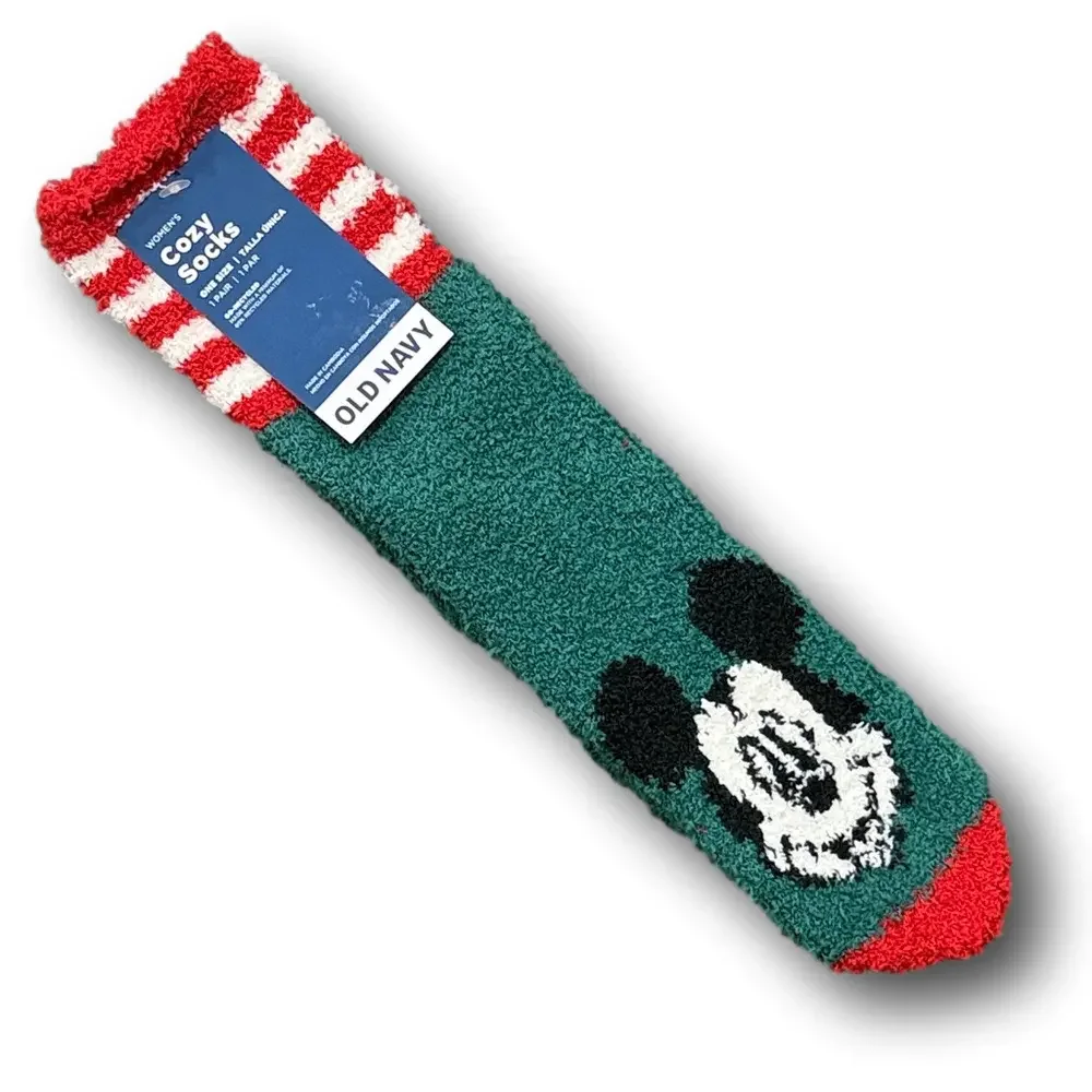 Disney christmas holiday