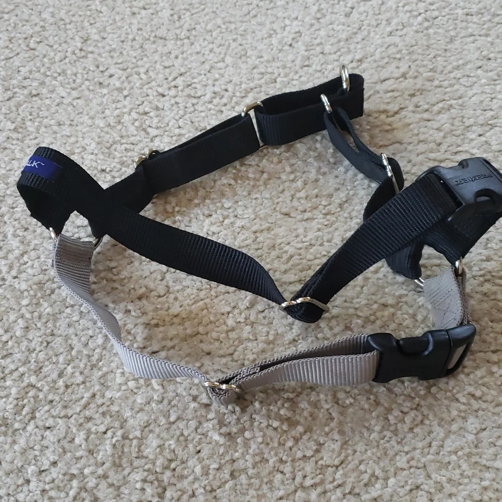 Pet Safe pet ssfe