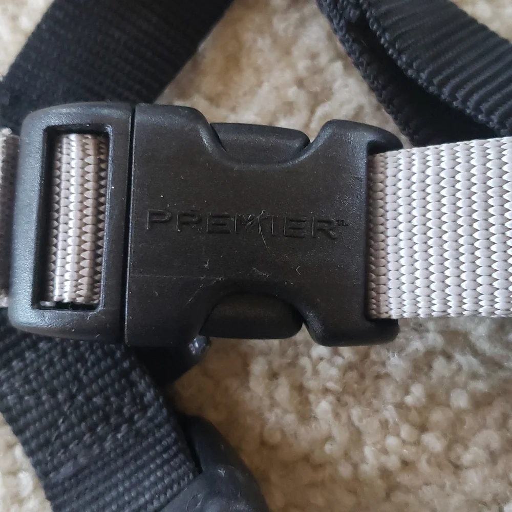 Pet Safe pet ssfe