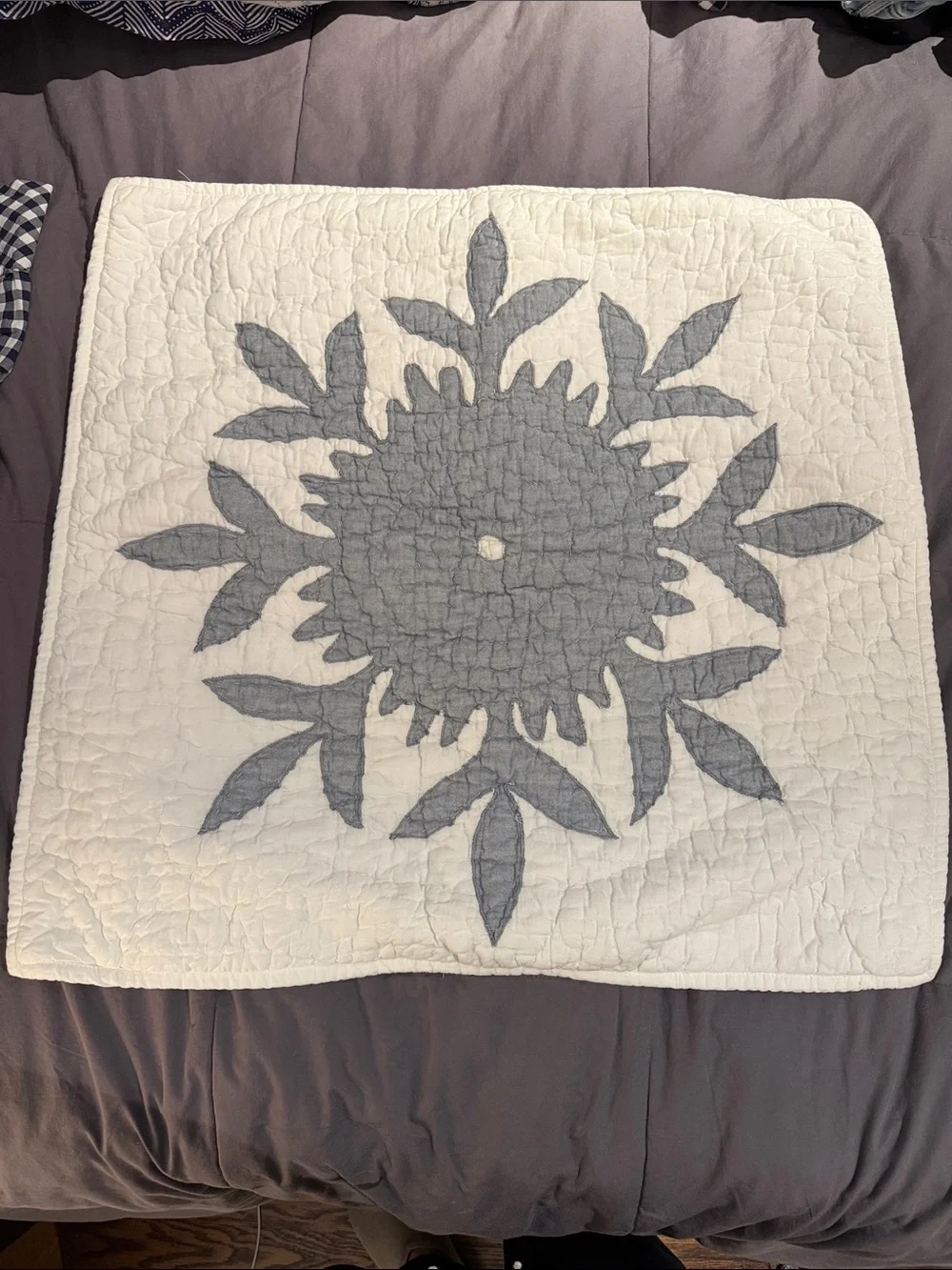 Pottery Barn Embroidered Shams