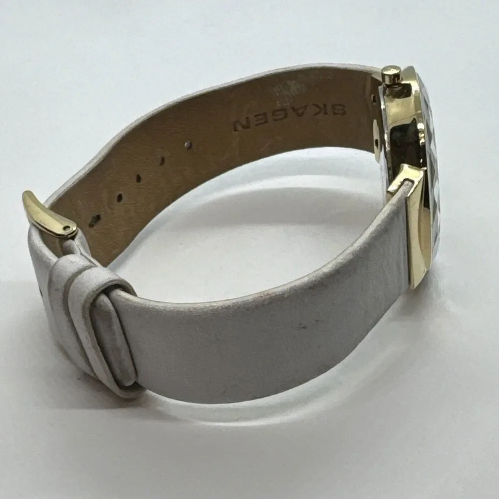 Unbranded skagen skw2033