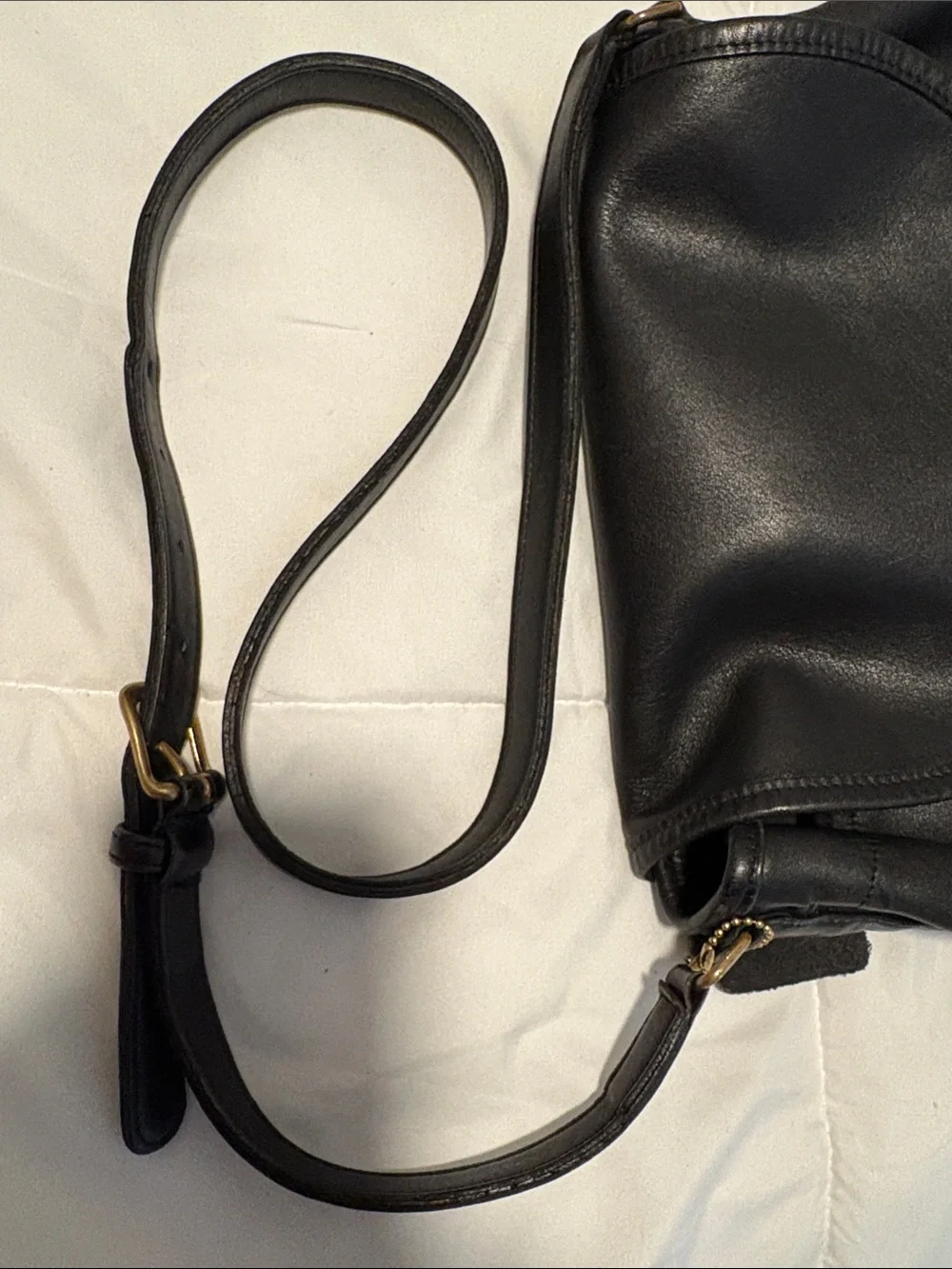 Coach lightweights collection