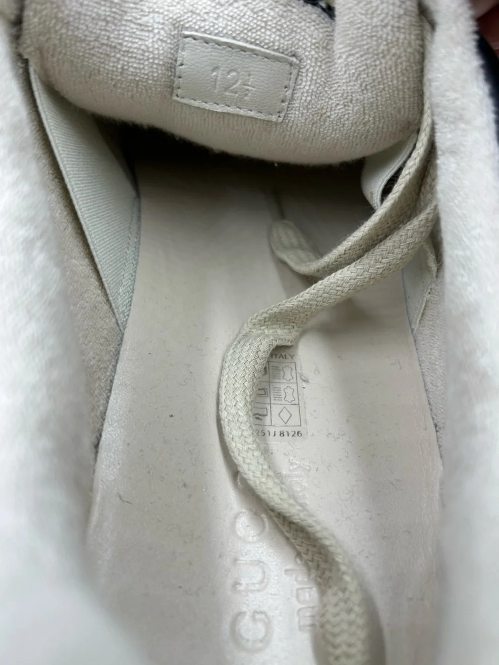 Gucci low top