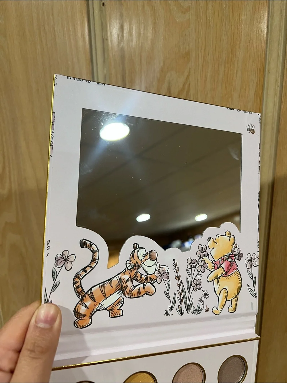 Disney winnie pooh