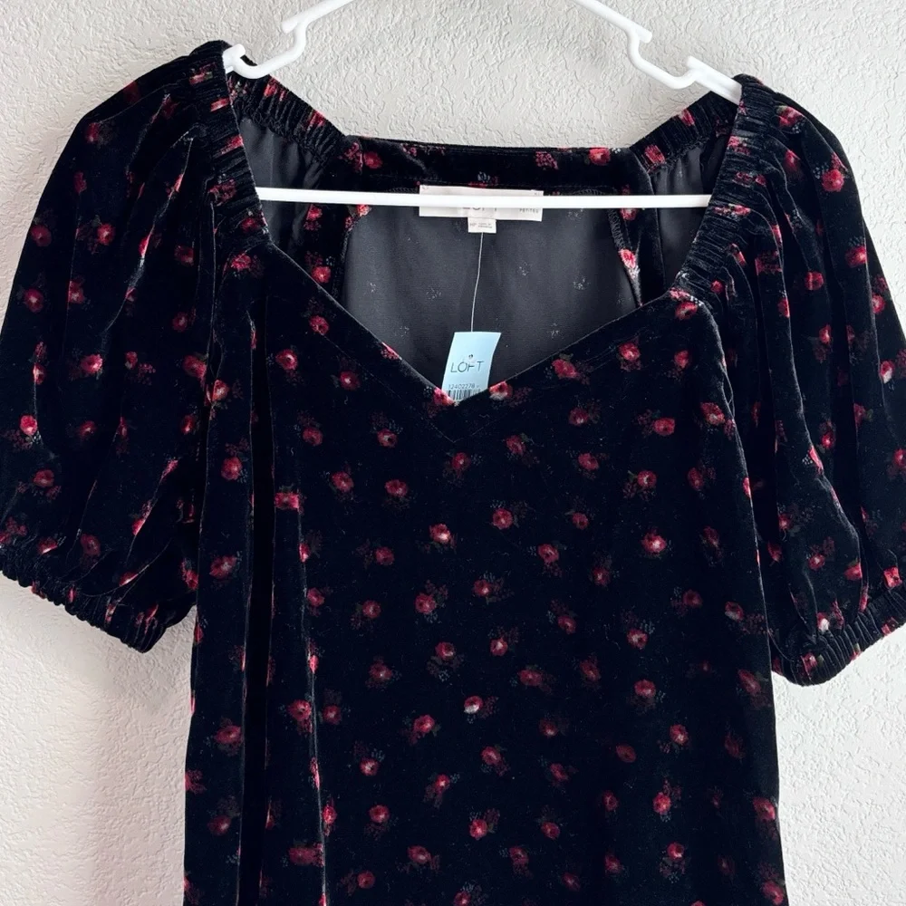 LOFT nwt velvet