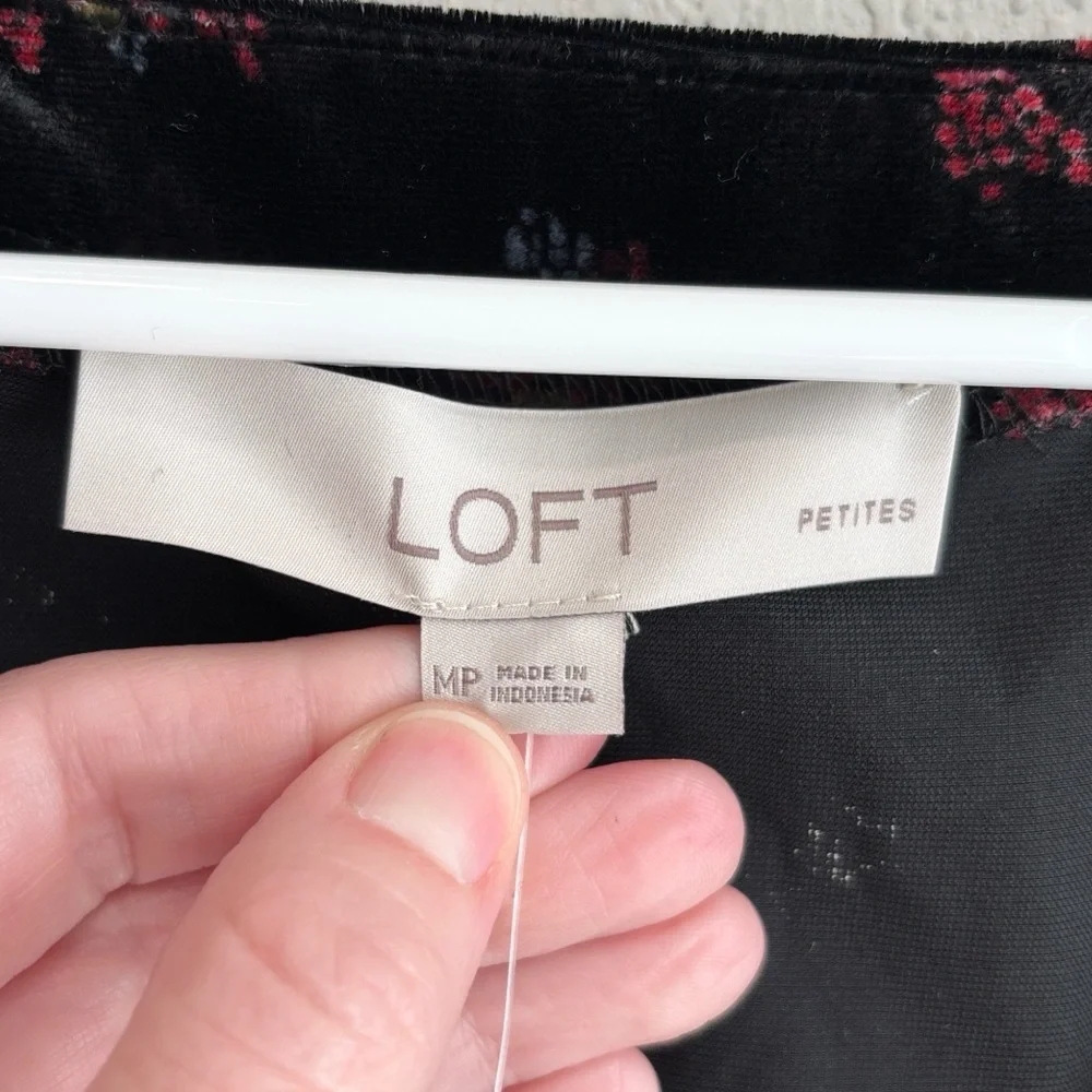 LOFT nwt velvet