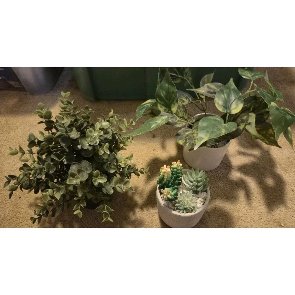 Artificial Potted Plants FEJKA IKEA + Mainstays Succulent +‎ White...