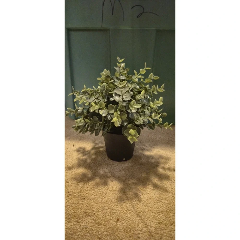 IKEA 🌿 lot