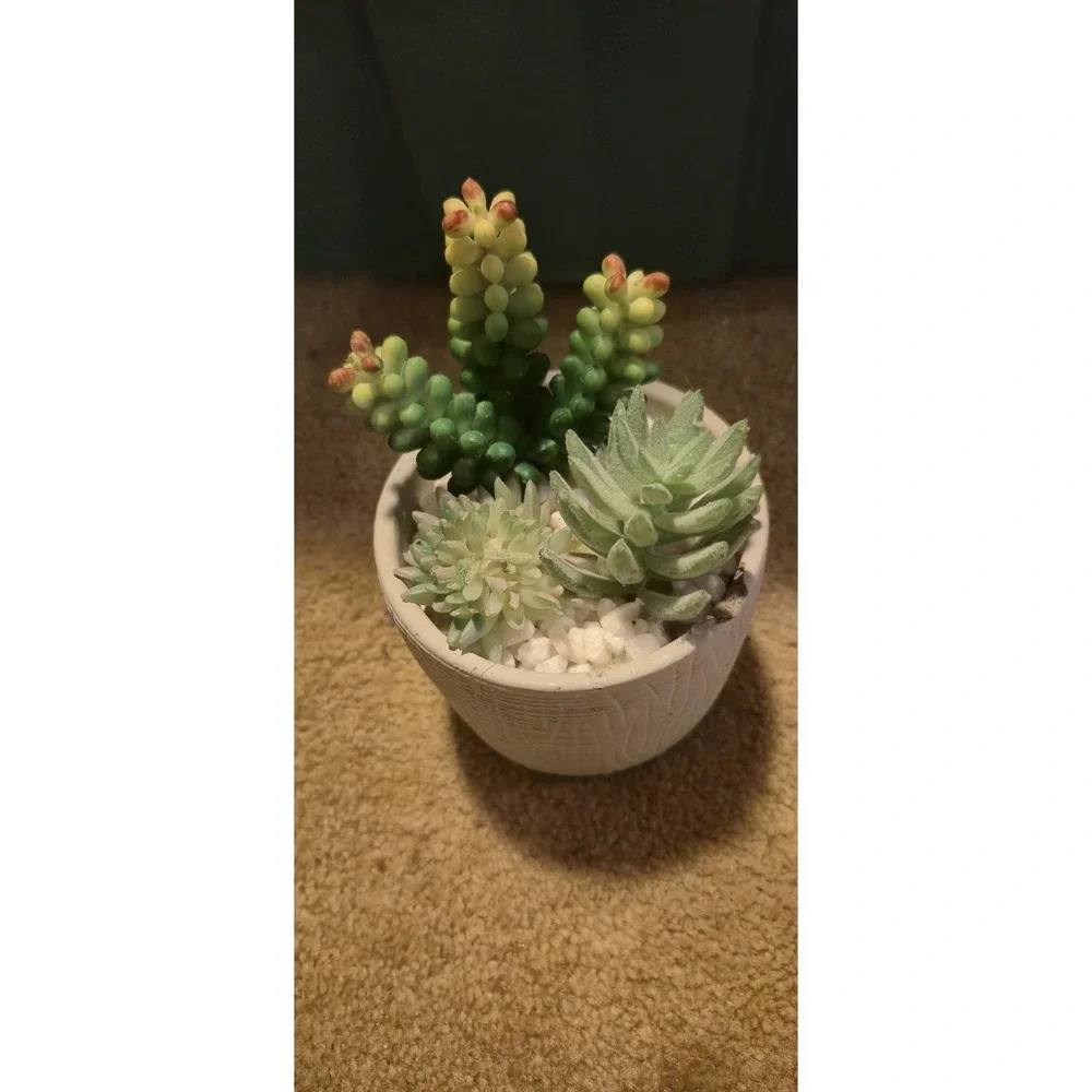 IKEA 🌿 lot