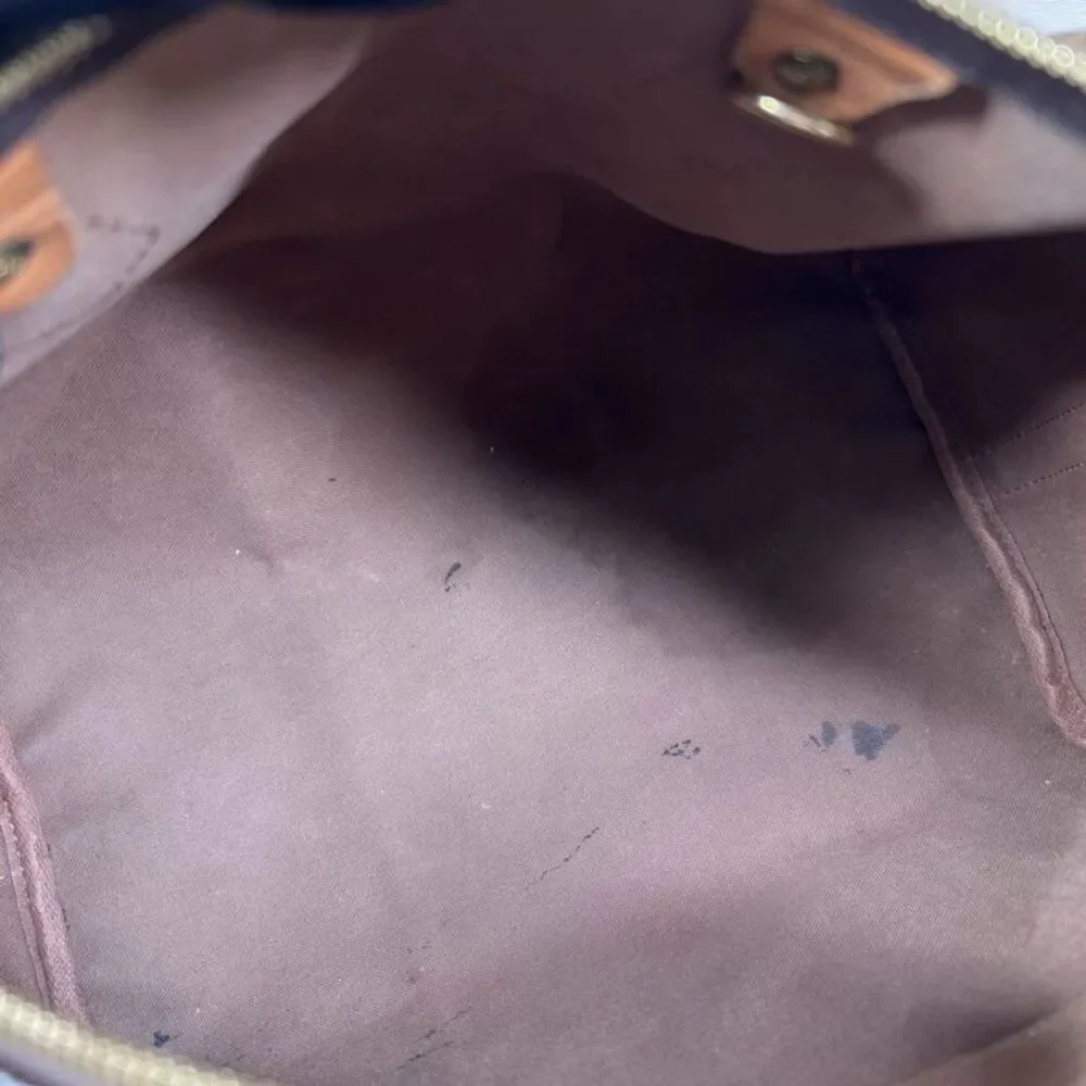 Louis Vuitton brand louis