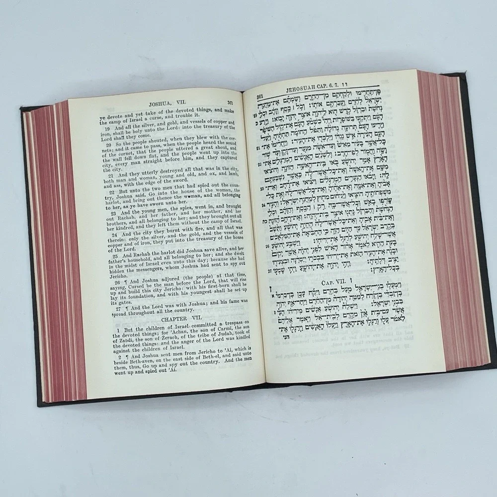 The Holy Bible 24 Books of the Holy Scriptures Vol I & II Hebrew (ISAAC‎ LEESER)