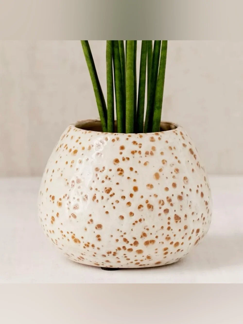 URBAN OUTFITTERS Speckled Planter
