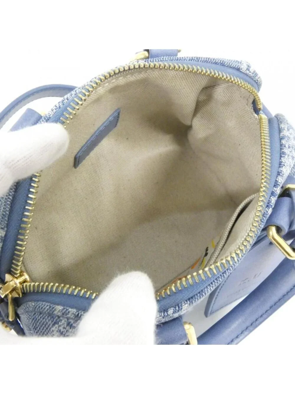 Louis Vuitton brand louis