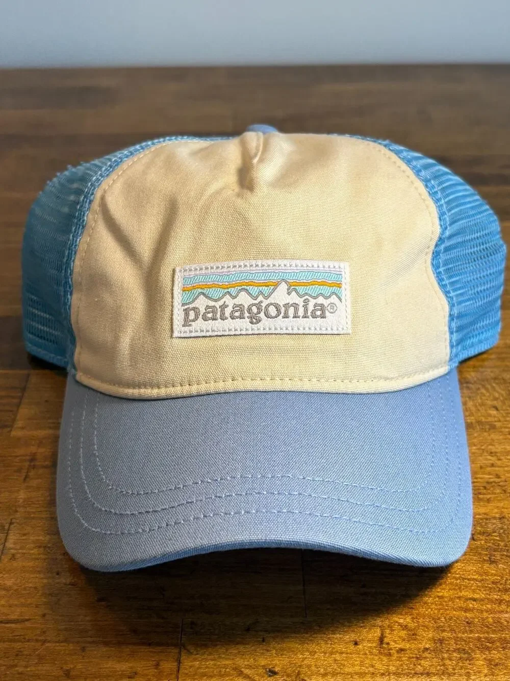Patagonia hat