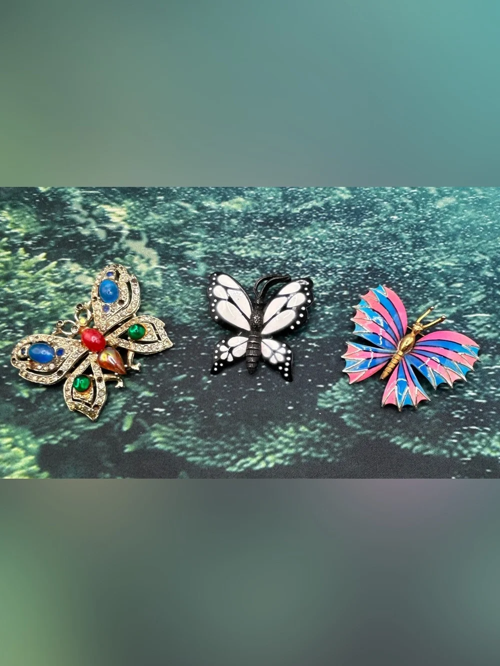 N/A charming butterfly