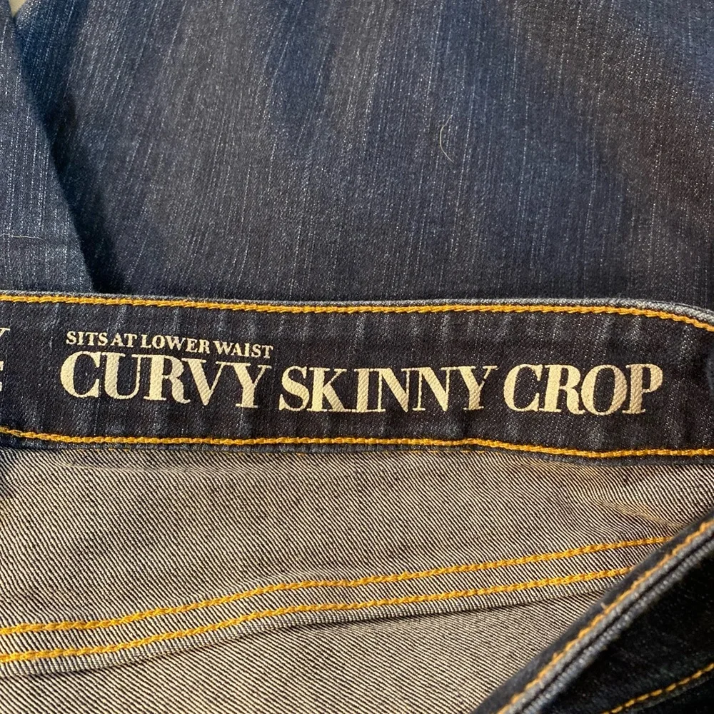 New York & Company nwot ny