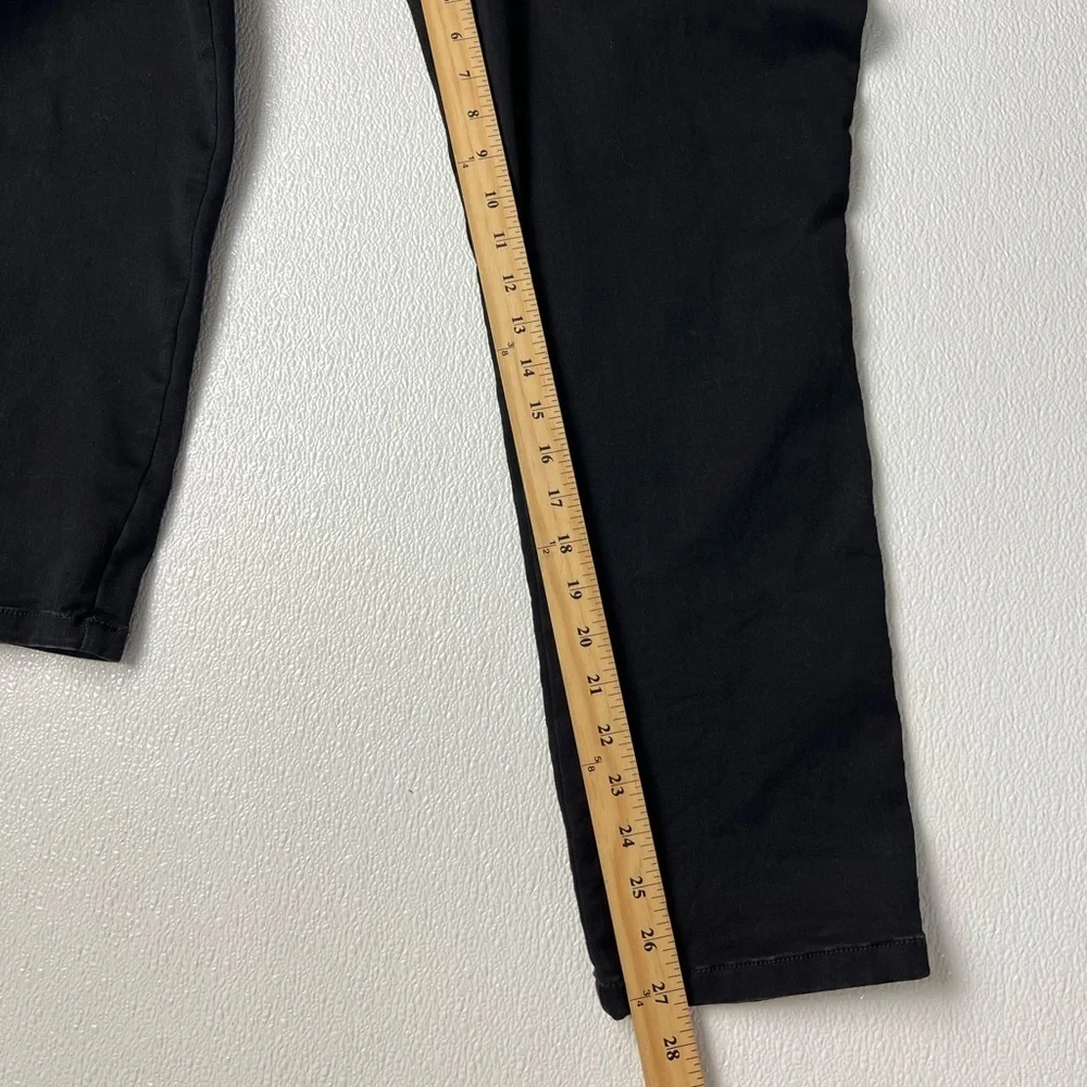 torrid dry pet 16