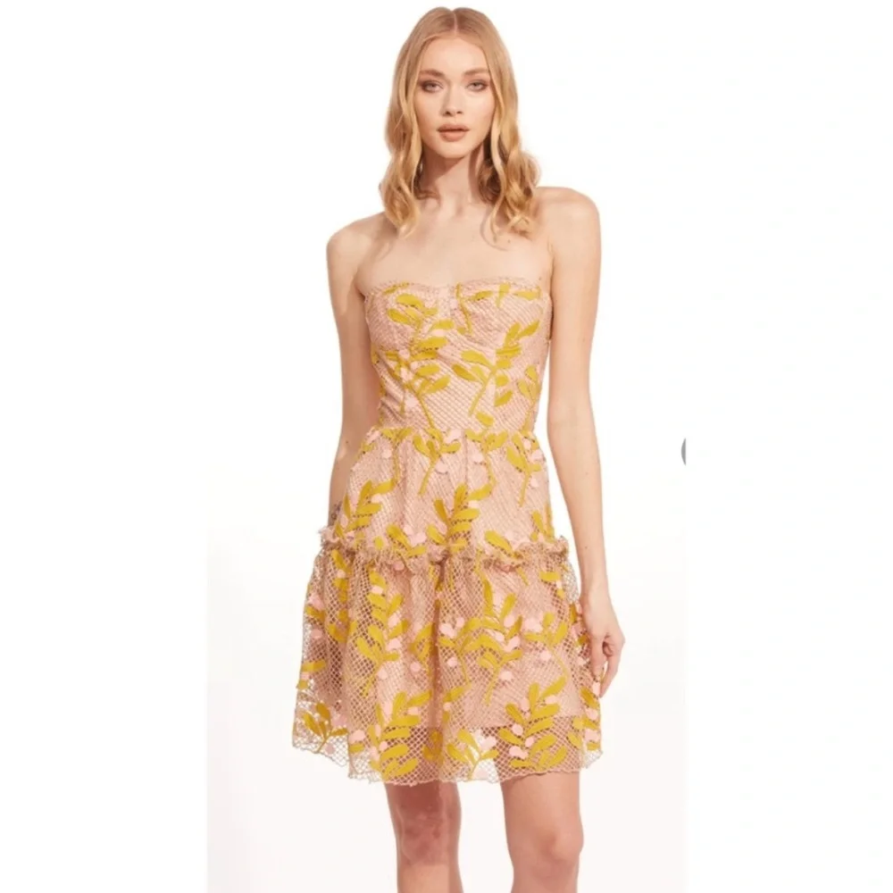 NWT Eva Franco Cossette Dress - Cottage Lace Gold & Pink Size 10