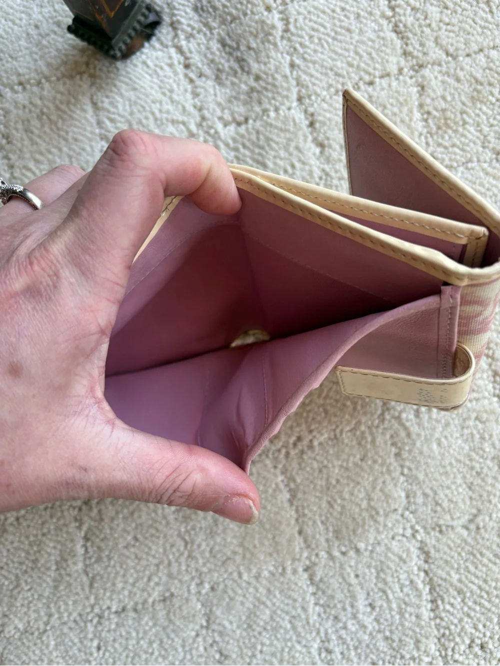 Dior small fold
