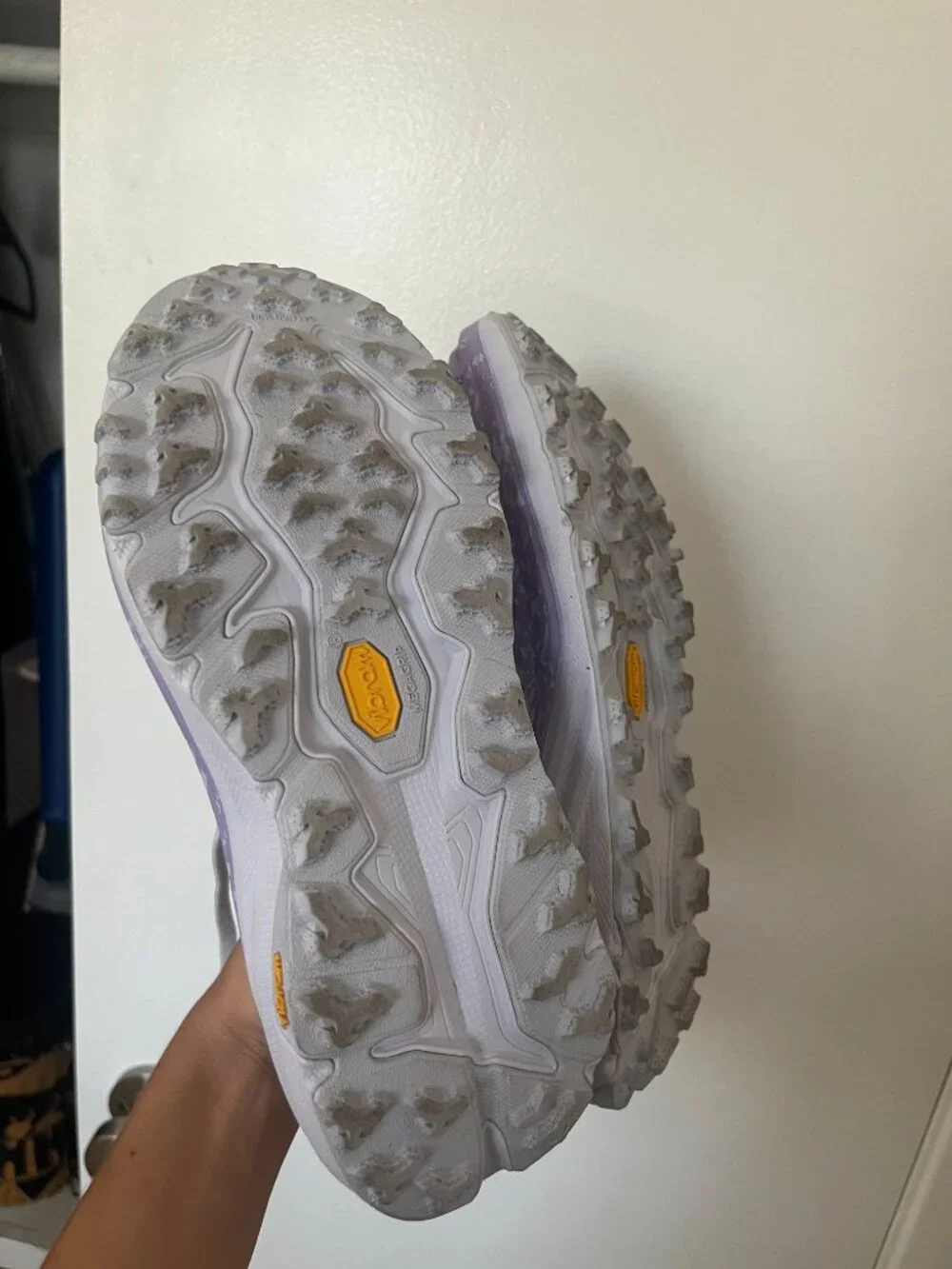 Hoka women speedgoat