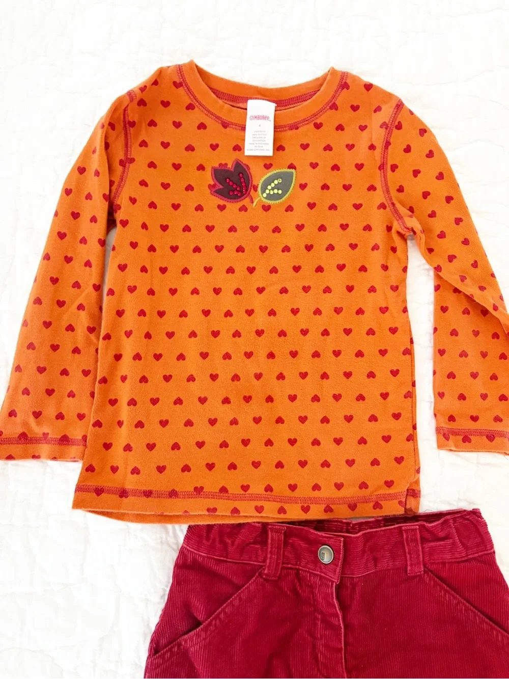 Girls 4 • Gymboree matching fall set long sleeve + skirt set