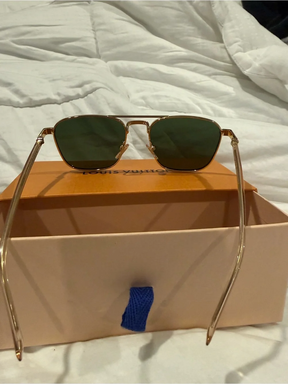 Louis Vuitton designer louis