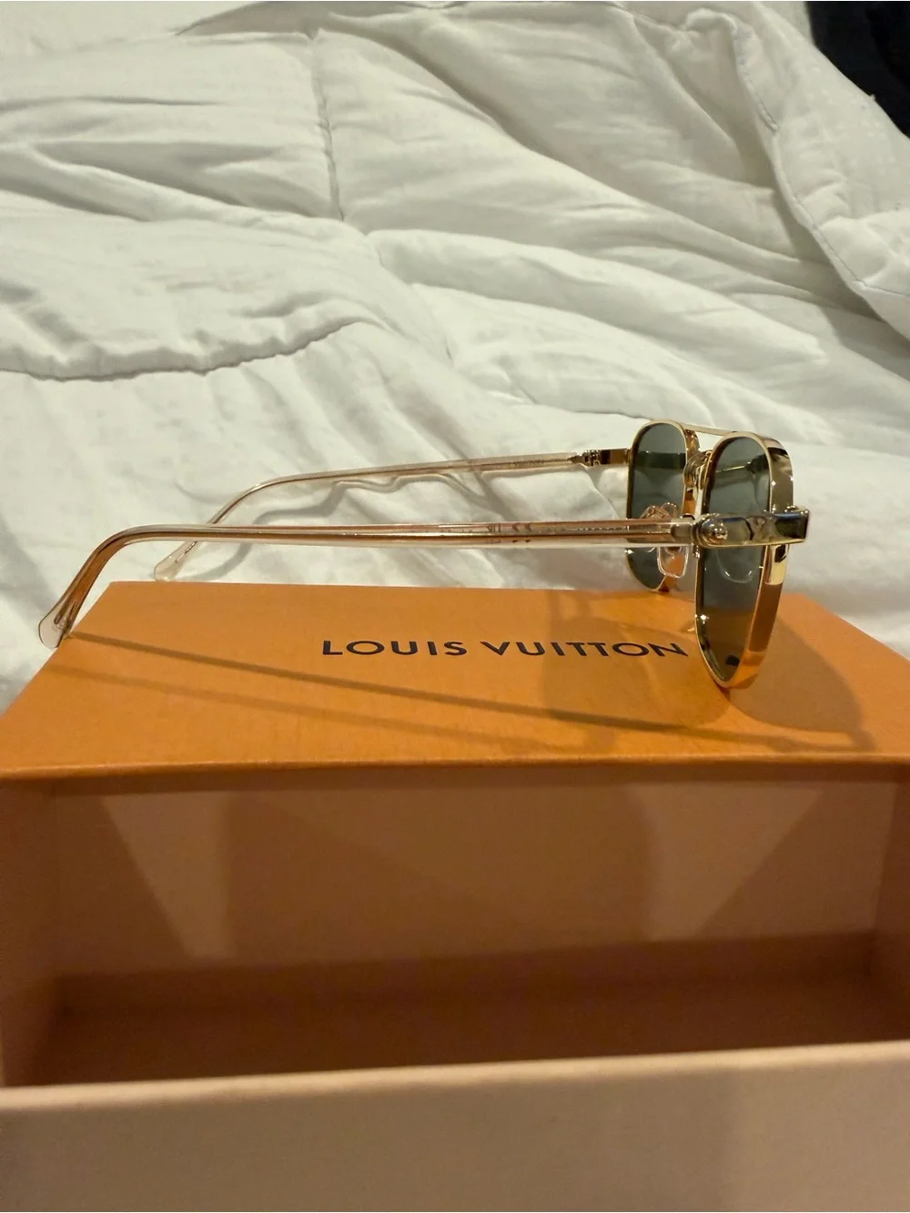 Louis Vuitton designer louis