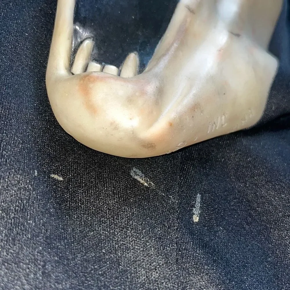 Vintage Fearsome Faces Ghostface FANG Scream Mask Easter Unlimited