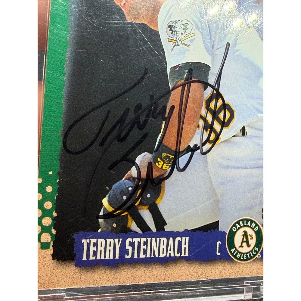 Score terry steinbach