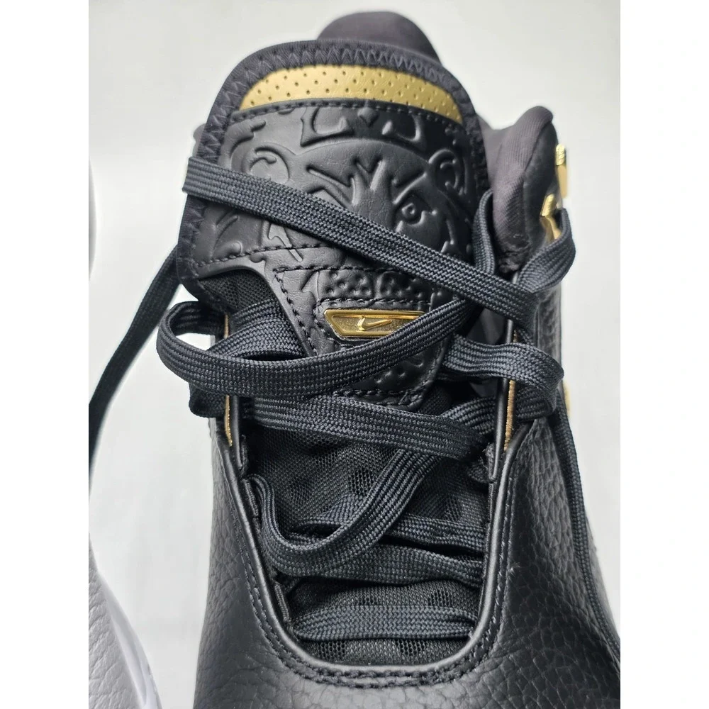 Nike zoom lebron