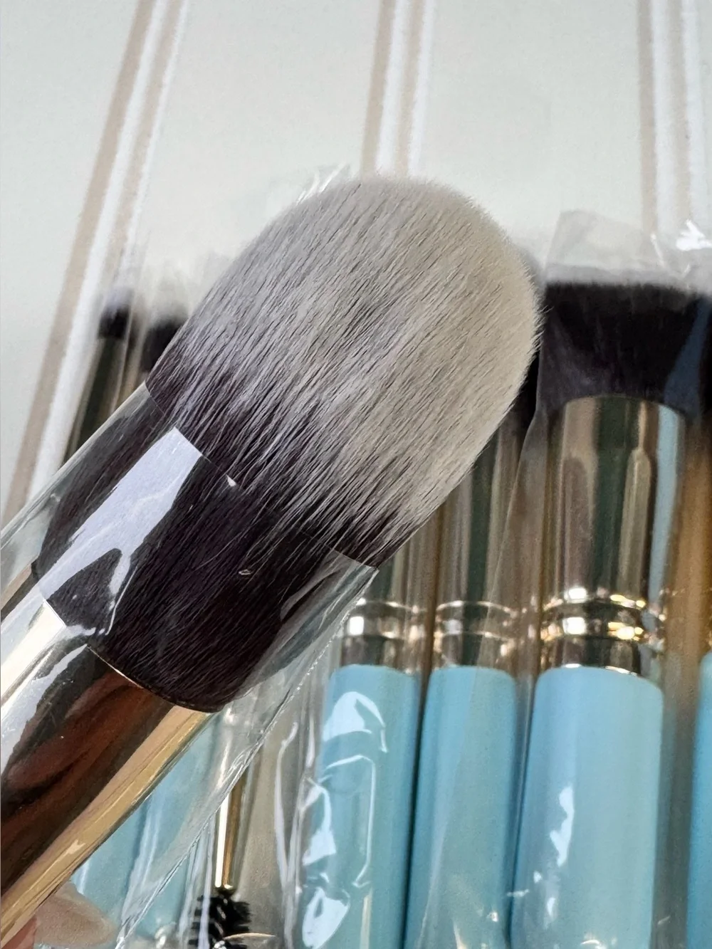 10pc Travel Makeup Brush Set w/ Case – Portable Cosmetic Brushes Kit, New