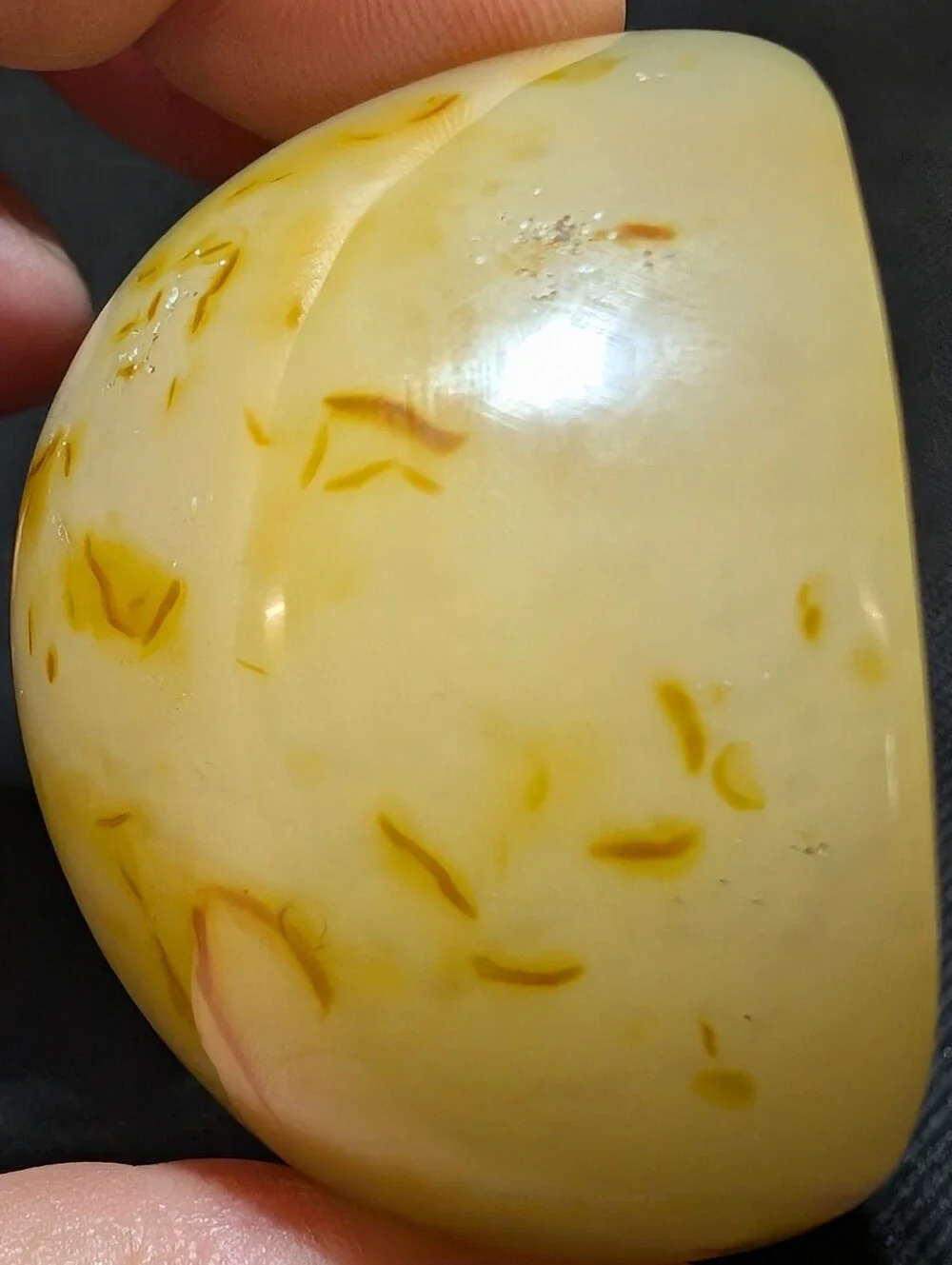 Brazilian Agate Geode Half