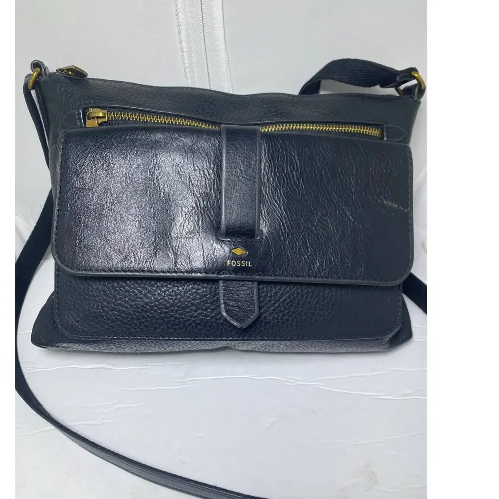 Fossil beautiful black